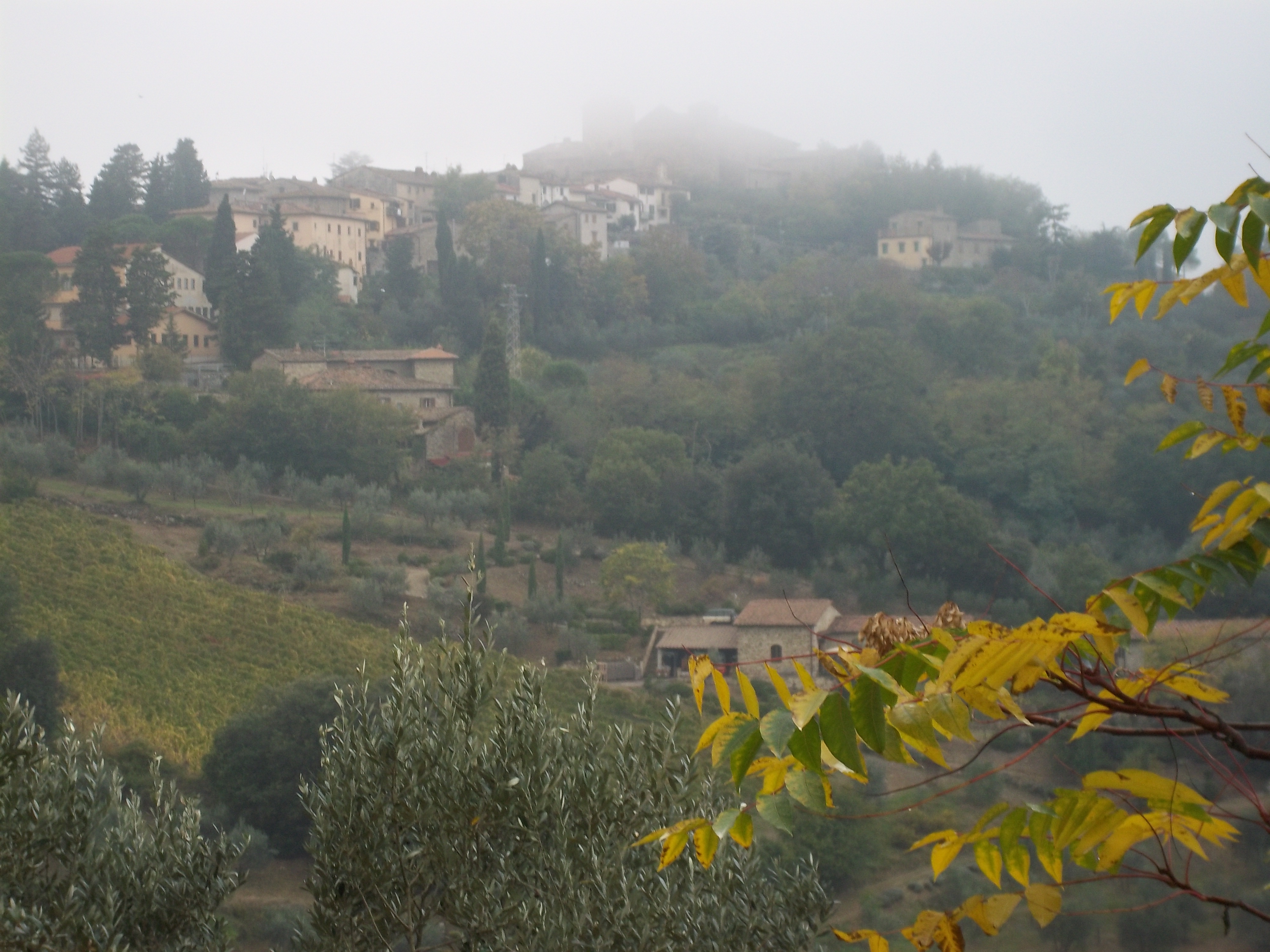view near Castellina
