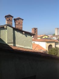 view from Torre Guinigi