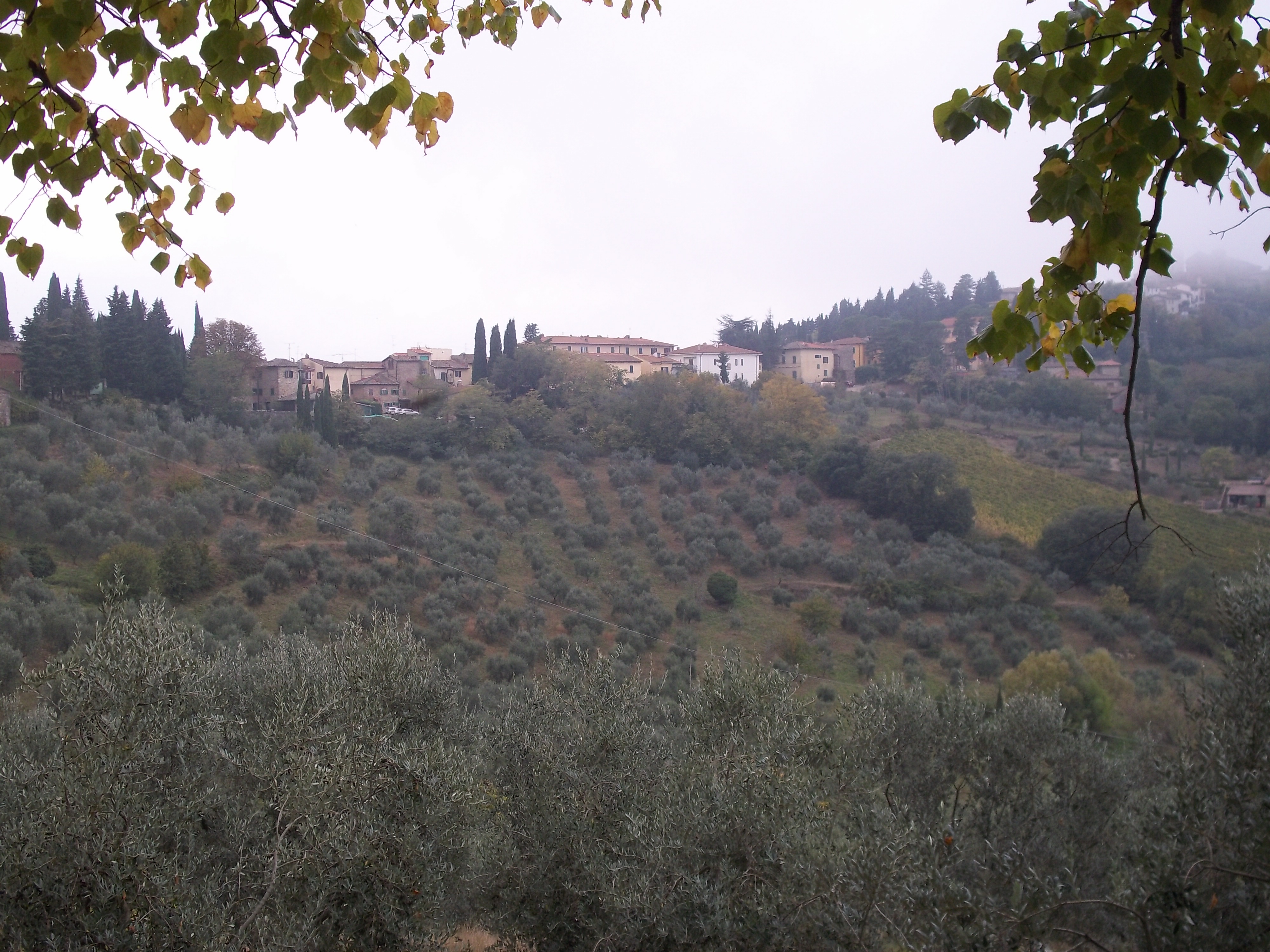 view near Castellina