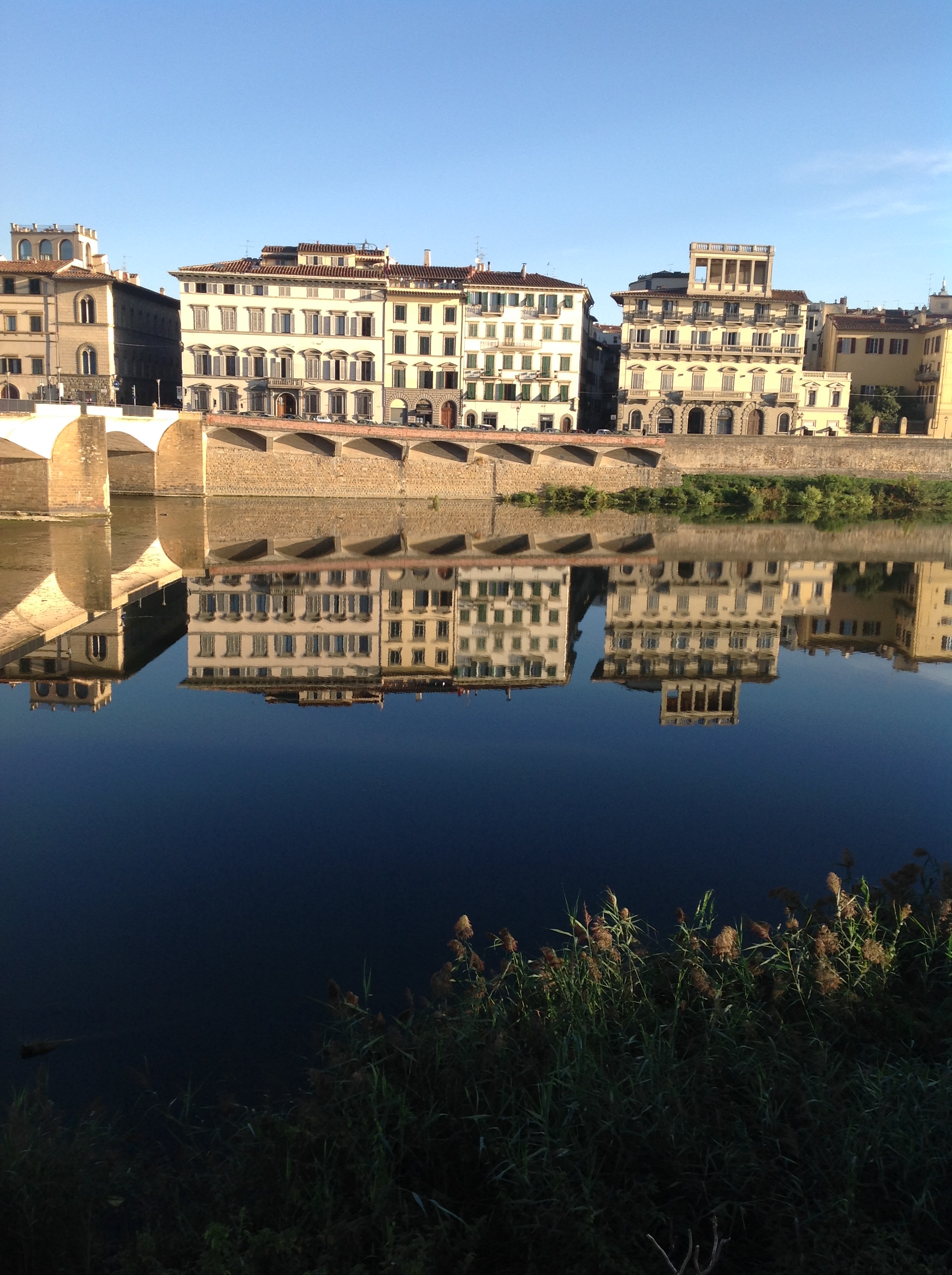 along the Arno
