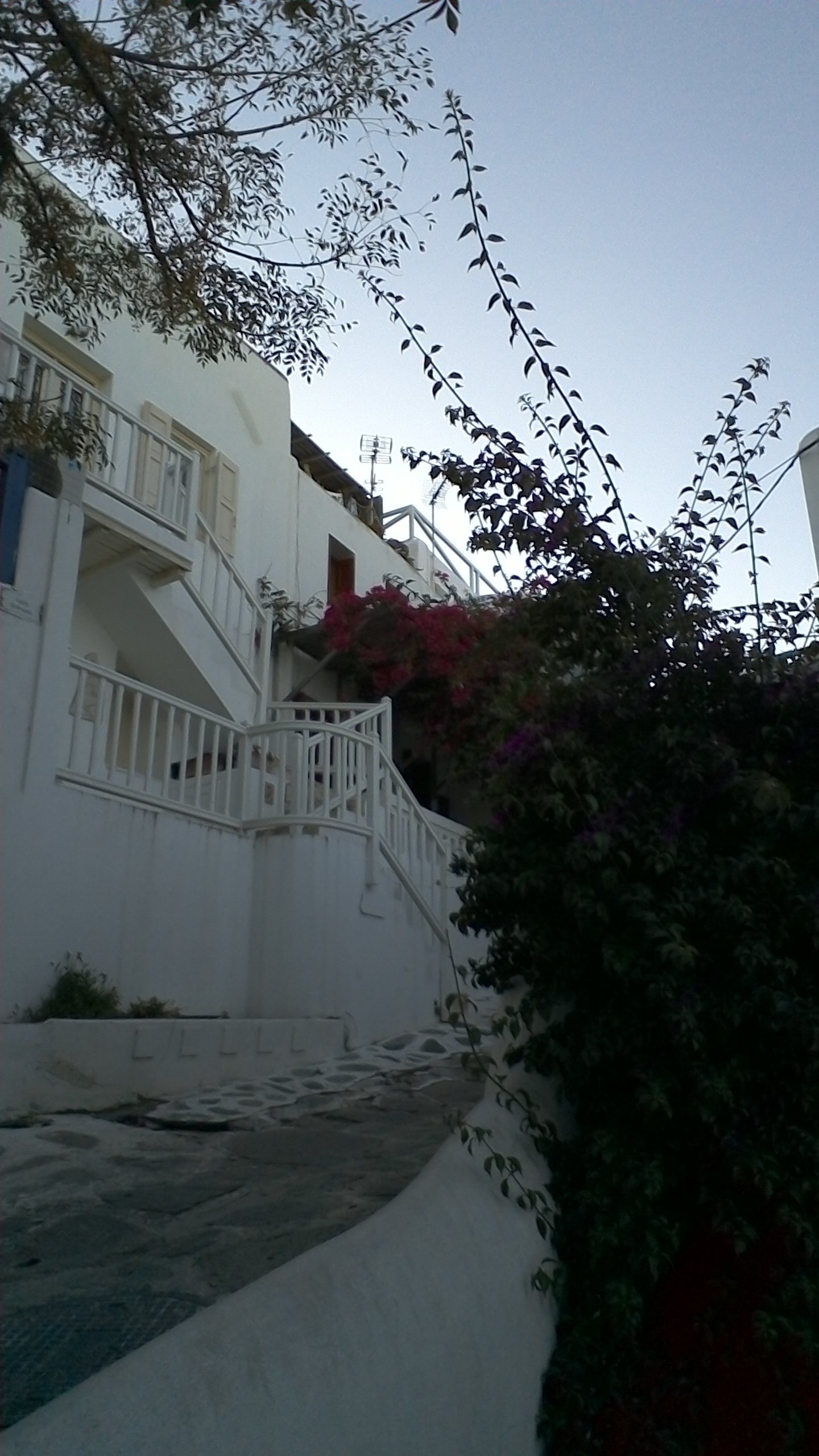 Streets of Mykonos