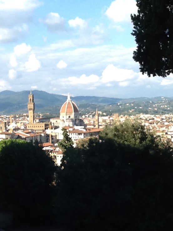 view of Firenze from the Bardini Gardens