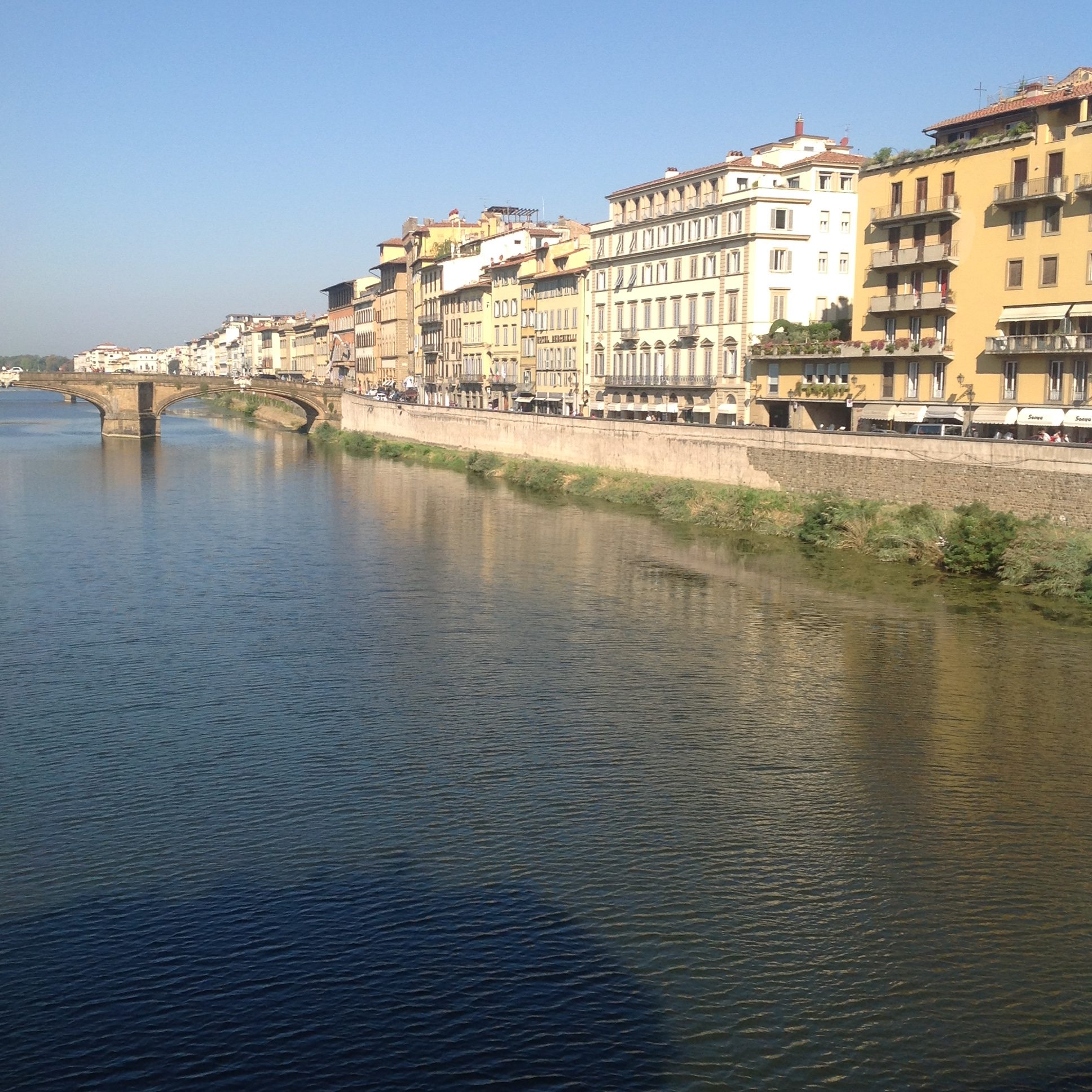 along the Arno
