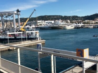 Cannes Harbor