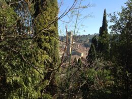 Park above Fiesole